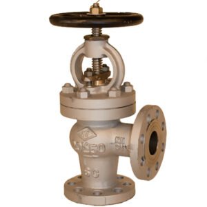 Angle Globe Valve