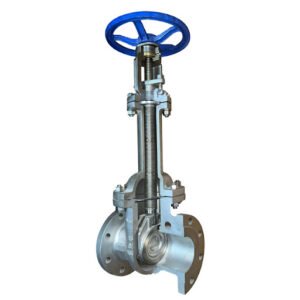 Bellow Seal Gate Valve Image