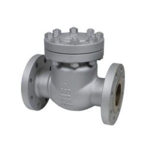 Carbon Steel Check Valve