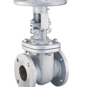 Cast Steel Gate Valve Product Image