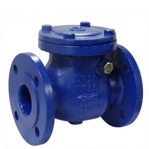 Check-Valve-NRV