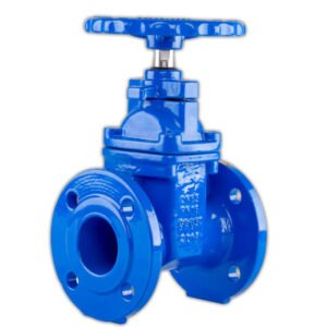 FBE Gate Valve