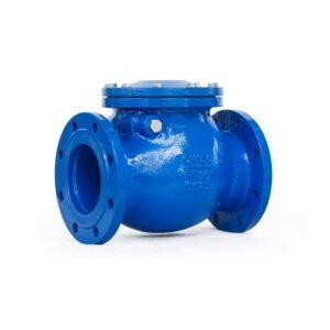 FBE Swing Check Valve