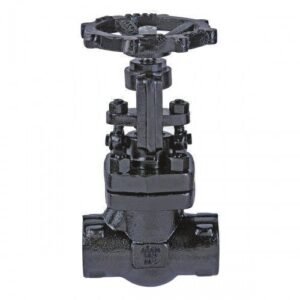 Forge Steel Gate Valve