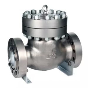 SDSS Swing Check Valve