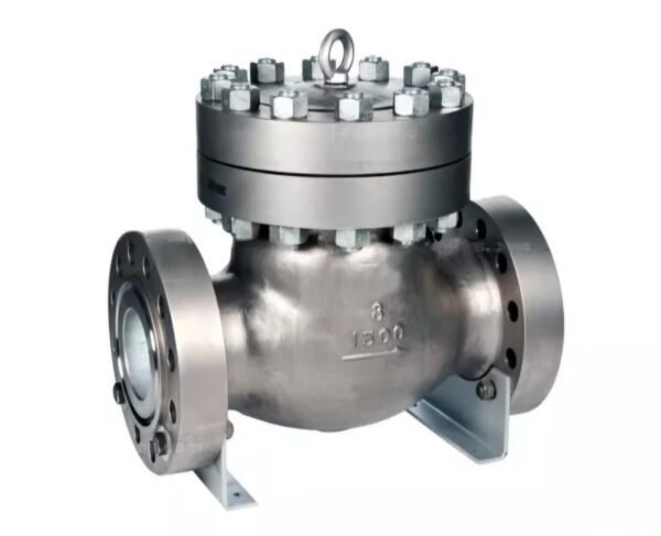 SDSS Swing Check Valve