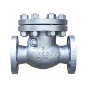 SWING CHECK VALVE