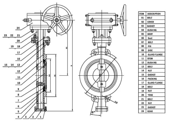 Triple Offset Butterfly Valve Drawing