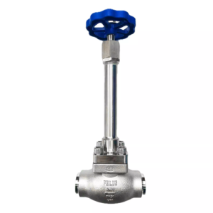 Cryogenic Globe Valve