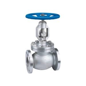 Duplex Steel Globe Valve