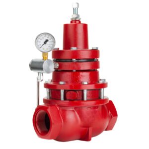 Back Pressure Relief Valve