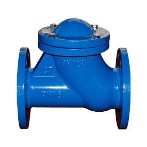 FLAP CHECK VALVE