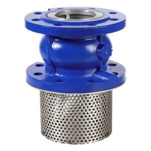 Foot Valve
